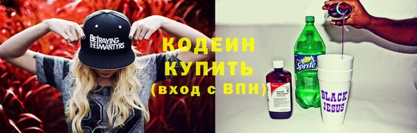 крисы Абаза