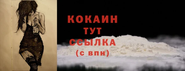 крисы Абаза