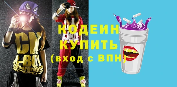 крисы Абаза
