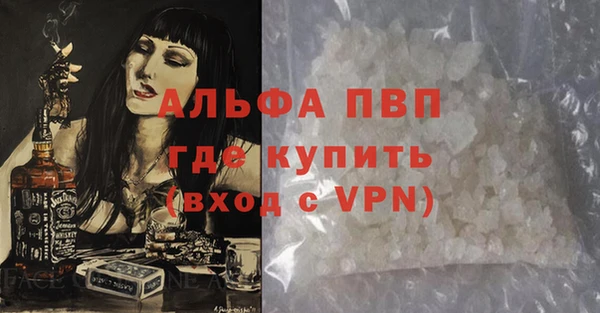 крисы Абаза